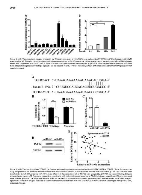 Emodin Inhibits Tgf β2 By Activating The Foxd3mir 199a Axis In Ovarian