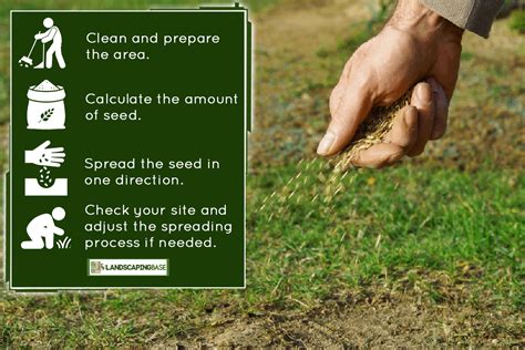 How To Spread Grass Seed Evenly By Hand [without A Spreader]