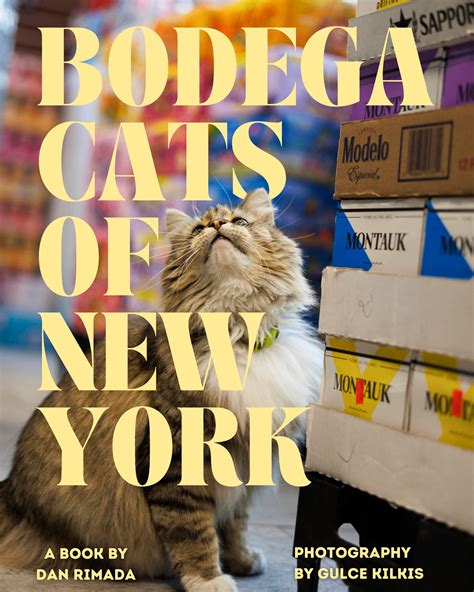 Bodega Cats of New York | NYC's Working Cats