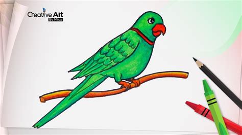 Parrot Drawing Easy How To Draw A Parrot Step By Step For Beginners