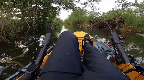 Pesca De Tucunar En Tortuguero YouTube