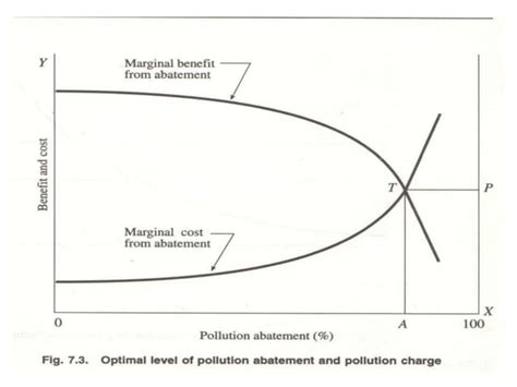 Economics Of Externalities And Pollution Abatement Ppt