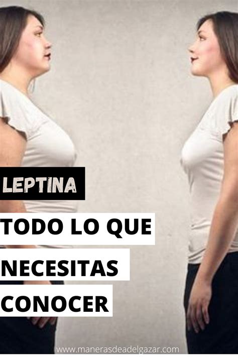 La Leptina Y La Resistencia A La Leptina Todo Lo Que Necesita Saber