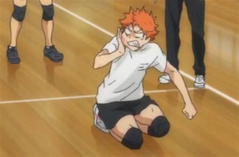 Shoyo Haikyuu And Hinata Image 8955767 On Favim