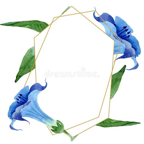 Flores Nicas Florales Del Brugmansia Azul Sistema Del Ejemplo Del