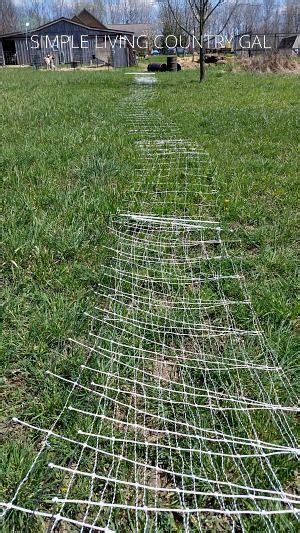 My Top 3 Picks For Goat Fencing That Is Secure And Safe Goat Fence