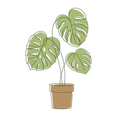 Hojas De Planta Monstera En Icono De Dibujo Lineal Ilustraci N Del