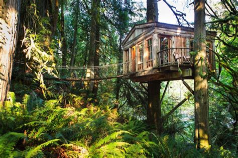 Rainforest Hotel Built In The Trees Tree House Point Captivatist