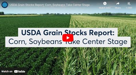 Usda Grain Stocks Report Corn Soybeans Take Center Stage Blue Line