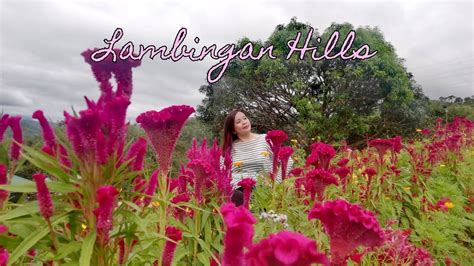 Lambingan Hills Tanay Rizal Youtube