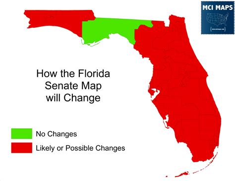 Florida State Senate Elections 2024 - Aile Lorene