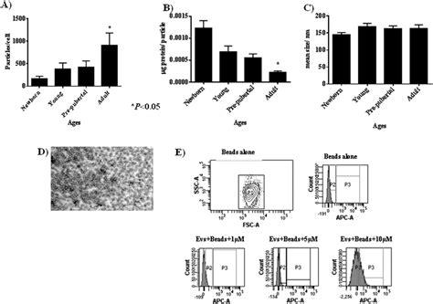 Characterization Of Mesenchymal Stem Cell Derived Extracellular Download Scientific Diagram