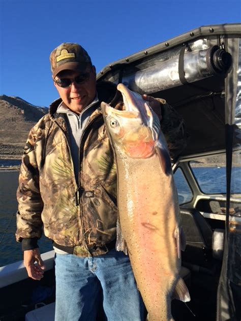 Pyramid lake fishing charters - Pyramid Lake Chrome Fishing Charters