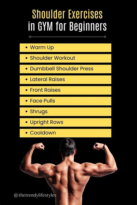 Beginners Guide To Shoulder Exercises