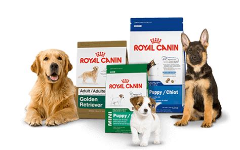 royal canin logo png 10 free Cliparts | Download images on Clipground 2024