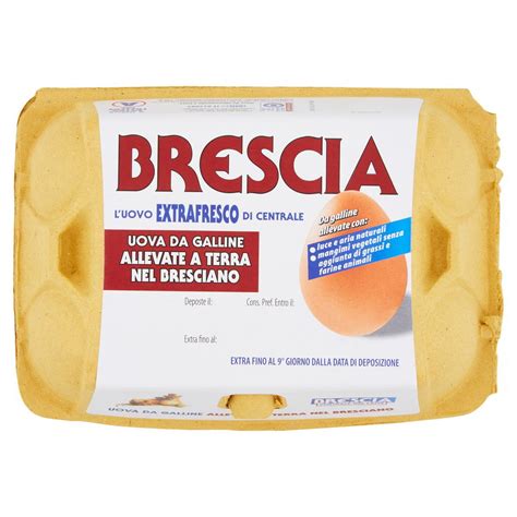 UOVA DA GALLINE ALLEVATE A TERRA CENTRALE DEL LATTE BRESCIA PZ 6 L