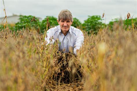 Setor Comemora Dia Nacional Do Sistema De Plantio Direto