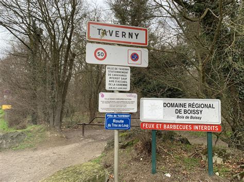 Bois de Boissy une expérience d Île de France Nature