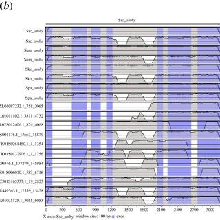 Identification Of Two Copies Of Amh Genes And Exploitation Of A Sex