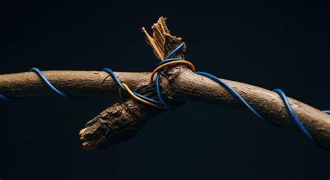 How Is Biomass energy'S Classification As'renewable' Sometimes Debated