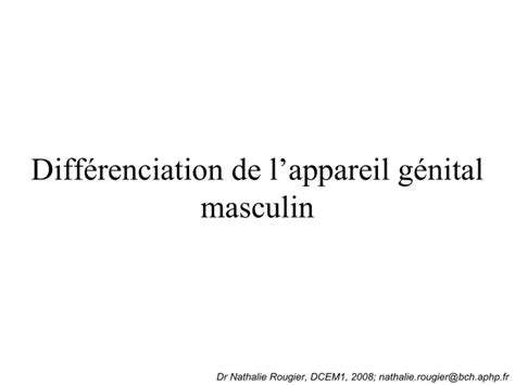 Diff Renciation De L Appareil G Nital Masculin