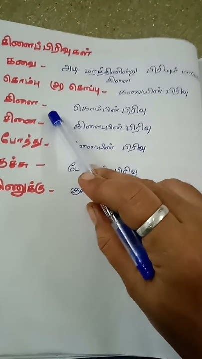 தமிழ் இலக்கணம் தமிழ் சொல் வளம் கிளைப்பிரிவுகள் பத்தாம் வகுப்பு தமிழ் தமிழ் கடல் Youtube