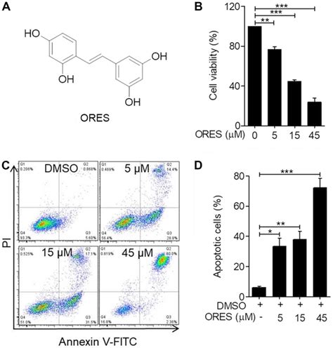 Oxyresveratrol Induces Apoptosis And Inhibits Cell Viability Via