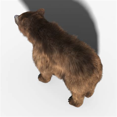 3d brown bear fur