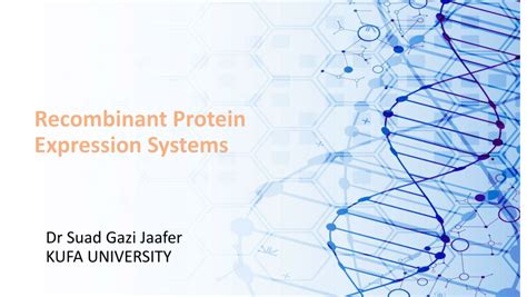 (PDF) Recombinant Protein Expression Systems