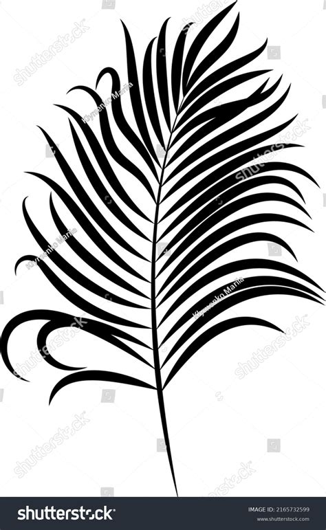 Black Silhouette Palm Leaf Vector Element Stock Vector (Royalty Free ...