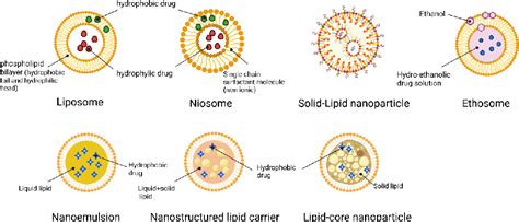 PDF Combinational System Of Lipid Based Nanocarriers And