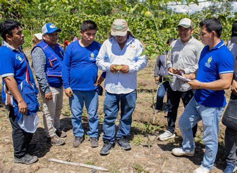 Agricultores Picharino Se Capacitan En La Producci N De Maracuy