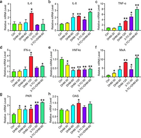 Dihydromyricetin Inhibits Hepatitis B Virus Replication By Activating