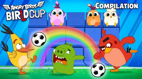 Angry Birds Birld Cup All Episodes Compilation Mashup Youtube