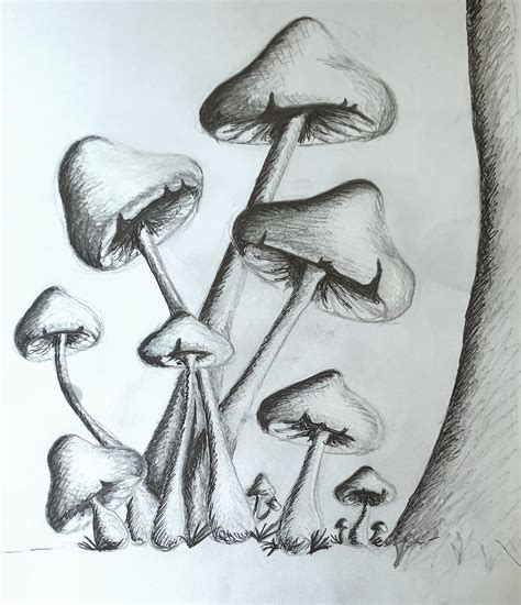 Mushroom pencil drawings — Hive