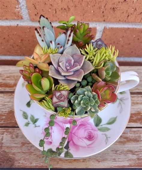 20 Creative Succulent Terrarium Ideas For You