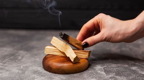 Palo Santo La Madera Sagrada Que Limpia Tu Casa De Malas Energ As