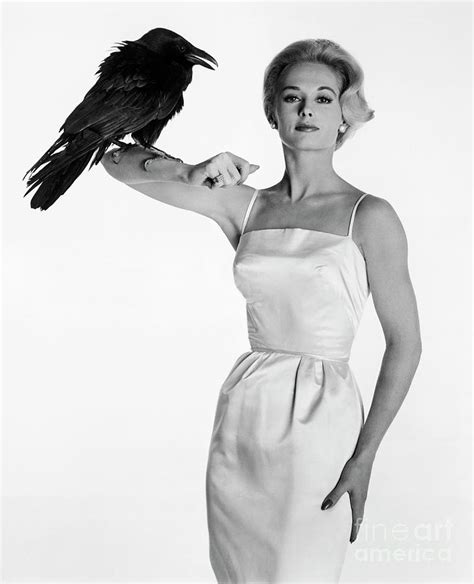 Actress Tippi Hedren Posing With A Raven Photograph By Bettmann Pixels