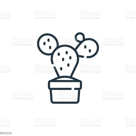 Cactus Vector Icon Isolated On White Background Outline Thin Line