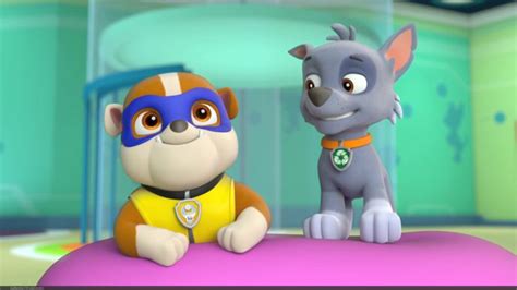 Pups Save A Super Pup Gallery Paw Patrol Wiki Fandom Powered By