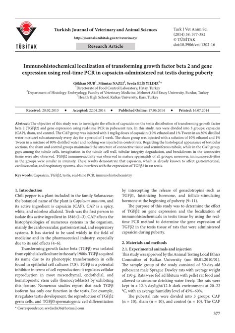 Pdf Immunohistochemical Localization Of Transforming Growth Factor