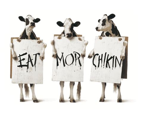 Eat Mor Chikin Cows Chick Fil A Pachirapong Wiki Fandom