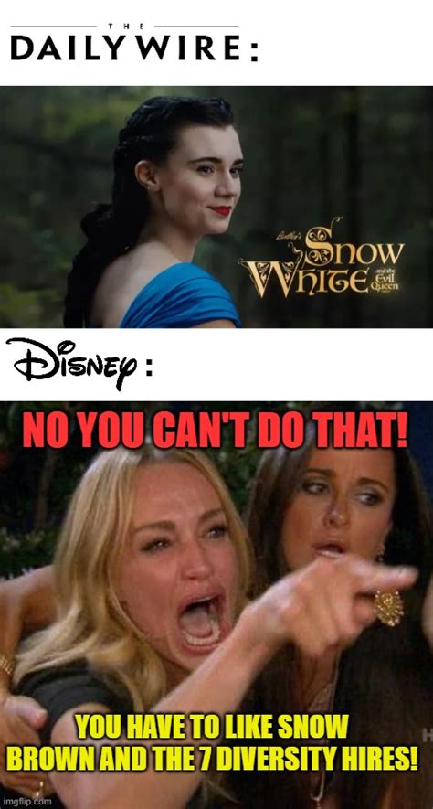 Image Tagged In Memes Movie Snow White Disney Princess Diversity Imgflip