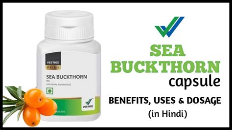 Vestige Sea Buckthorn Capsule In Hindi Vestige Sea Buckthorn