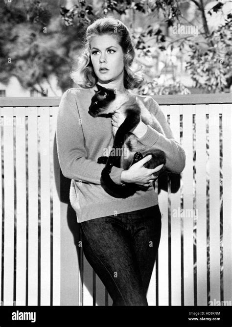 BEWITCHED, Elizabeth Montgomery, 'Ling Ling', (Season 1, aired 02/11/65), 1964-72 Stock Photo ...