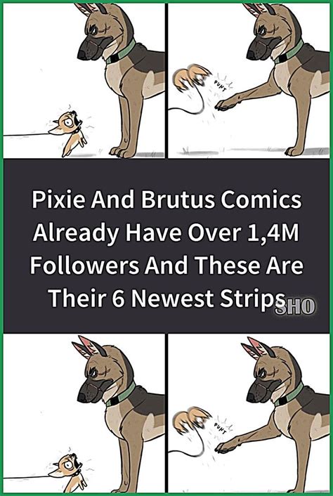 Pixie And Brutus Comics Already Have Over M Followers And These Are