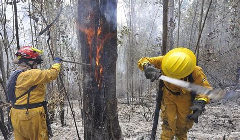 Quito Más De 100 Hectáreas De Bosque Afectadas Por Los Incendios