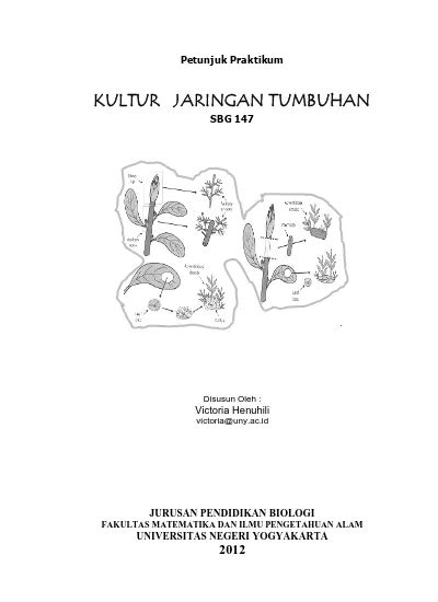 Top Pdf Jaringan Penyokong Dan Pengangkut Pada Tumbuhan Dok