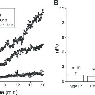 Effects Of Protein Kinase Inhibitors On Excision Induced Activation Of