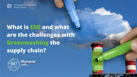 What Is Esg And What Are The Challenges With Greenwashing The Supply Chain